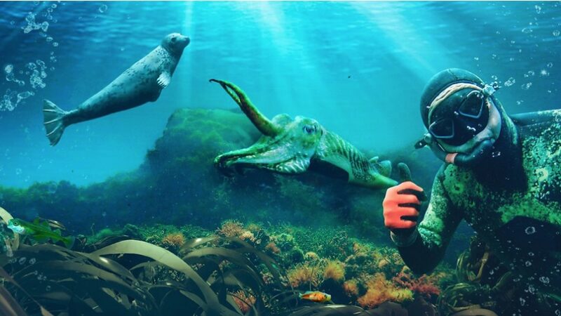 BBC One Our Sea Forest