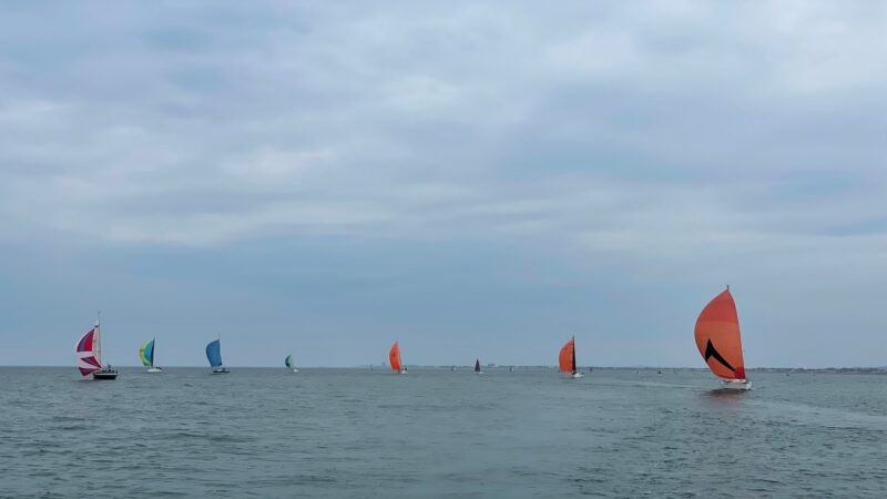 SYC Cup 2023